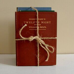 Antique Vintage Books Bundle of 5 Shakespeare 1899 Hardy Lawrence Collectible